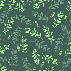 Botanical seamless background with flower branch. Design for printing on textile, fabric, wallpaper, wrapping paper, greeting cards.