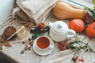Cup of tea in autumn composition with viburnum