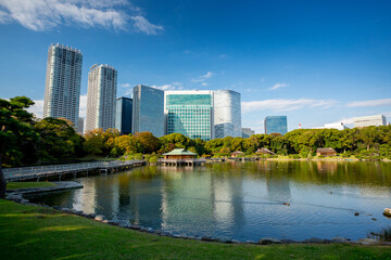 Fototapeta na wymiar Hama-rikyu gardens in Tokyo, Japan
