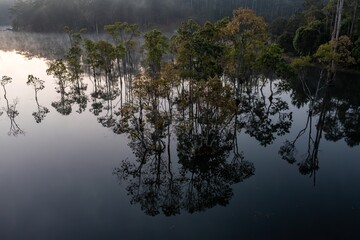 fog over the lake