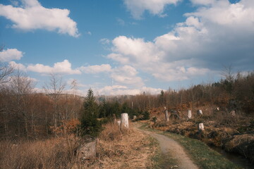 Harzlandschaft bei Torfhaus