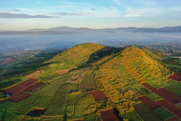 view of vineyards in autumn