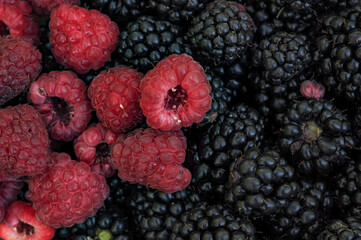 blackberry and raspberry