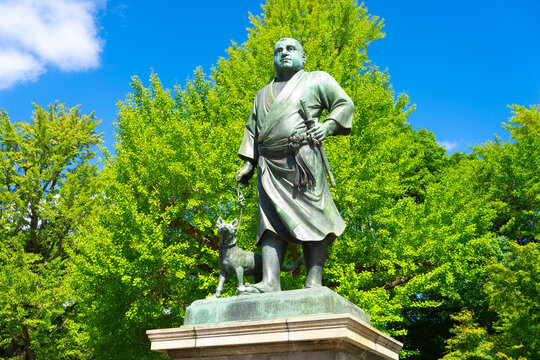 西郷 隆盛」の写真素材 | 1,286件の無料イラスト画像 | Adobe Stock