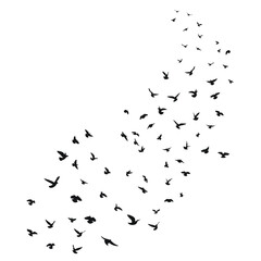 Sketch drawing of a silhouette of a flock of birds flying forward. Takeoff, flying, flight, flutter, hover, soaring, landing