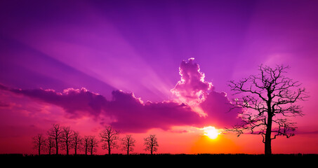 Fototapety na wymiar - Fototapeta24.pl