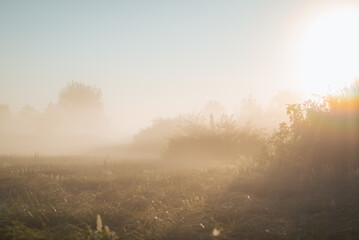 Landscape of morning fog in the field with bright sun on the background. Misty morning in countryside field