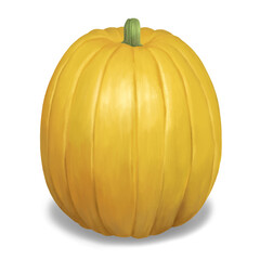 かぼちゃのイラスト