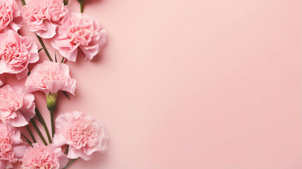 Minimal floral styled concept. Pink carnation flower