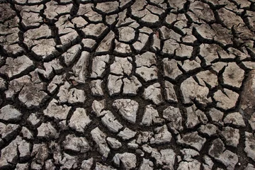 Schilderijen op glas Soil droughts cracked landscape and natural pattern, Global warming © Chethiya Rathnayaka
