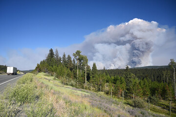 Wildfire in Canada. Smoke from a wildfire rise in sky above forest - obrazy, fototapety, plakaty