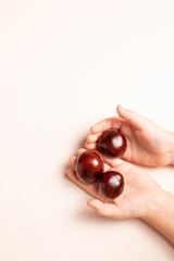 Chestnuts on a light background, chestnuts in hands