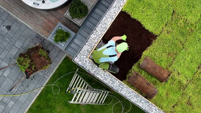 Sedum Roof Installation on a Garden Shed