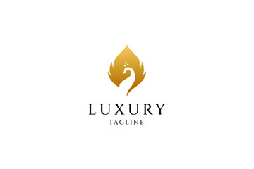 Luxury peacock feather logo design
