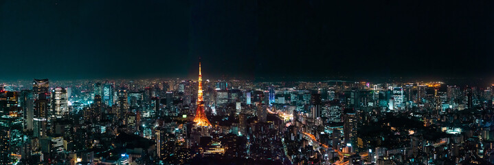 panoramic, tourist attractions in the city park of Tokyo, Asia business concept image, panoramic...