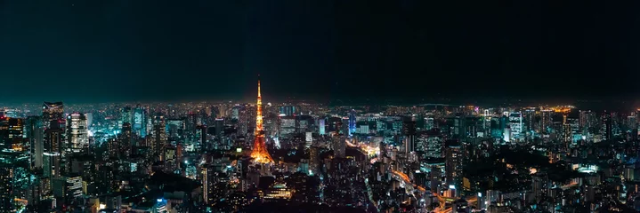 Tuinposter panoramic, tourist attractions in the city park of Tokyo, Asia business concept image, panoramic modern cityscape building in Japan.   © pinglabel