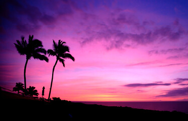 Hawaiian Palm Trees at Sunset with Purple Sky on Big Island