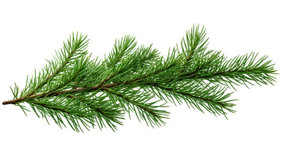 Christmas pine branch on white background with free space for text. AI generated - obrazy, fototapety, plakaty
