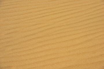 Fototapeta na wymiar Hearing the wind in the sand in the dunes.