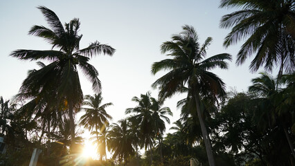 Fototapeta na wymiar Coconut Tree Silhouette Landscape Background with Sunset Sky