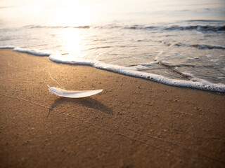 Light and Soft White Feather on the beach next to the waves of the sea
