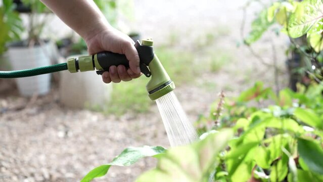 Man watering plants in his garden.