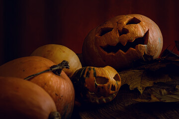Pumpkin patterns. Pumpkin for Halloween. A mystical plot.  All Saints' Day.