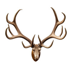 Antler Decor isolated on transparent background
