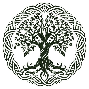 Decorative Celtic tree of life with roots and leaves, Viking Yggdrasil tree vector design isolated on white background 