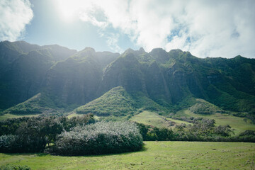 KUALOA クアロア