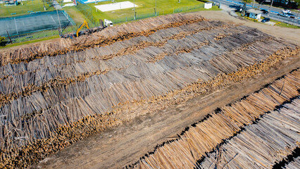 Visão aérea de um estoque de toras de madeiras para a produção de papel e celulose industrial