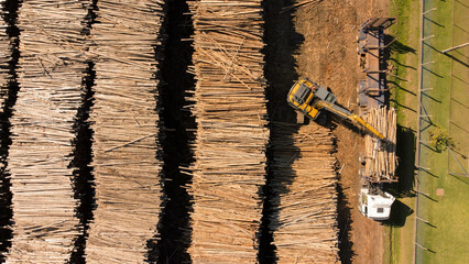 Visão aérea de estoque de madeiras para a produção de papel e celulose