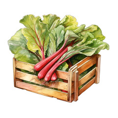Rhubarb in a wooden crate, isolated on transparent background