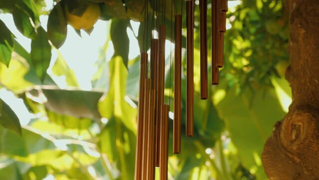 Traditional metallic wind chime hanging on tree fruit orange lemon at sunny forest nature spiritual