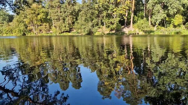 Natural landscape of a lake or river, reflections on the water and a tree on the opposite bank