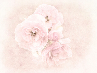 Painterly pale pink roses on delicate background.