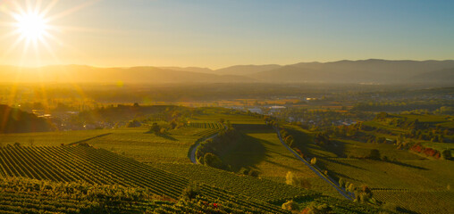 Weinberge Herbst Sonnenuntergang Stimmung