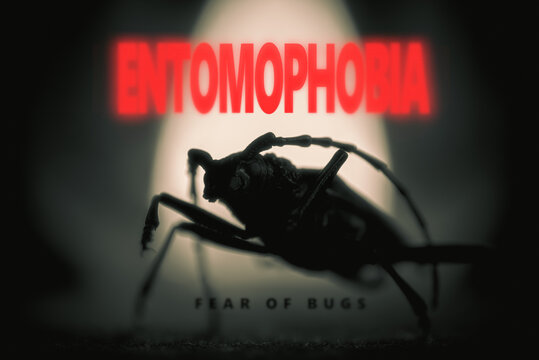 Fear of bugs (Entomophobia) metamorphosis poster with great capricorn beetle silhouette in gloomy studio light