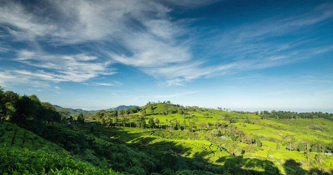 Timelapse of clouds rolling over the tea plantation in the morning
