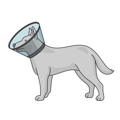Elizabethan collar pet cone treat funnel on dog diagram schematic vector illustration. Medical science educational illustration