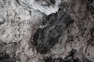 
piece of charcoal on white ashes