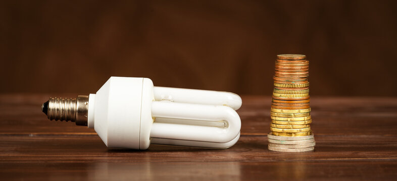 Lightbulb And Money Coins. Energy Savings, Efficiency Or Energy Crisis Banner. Lightbulb Changing.