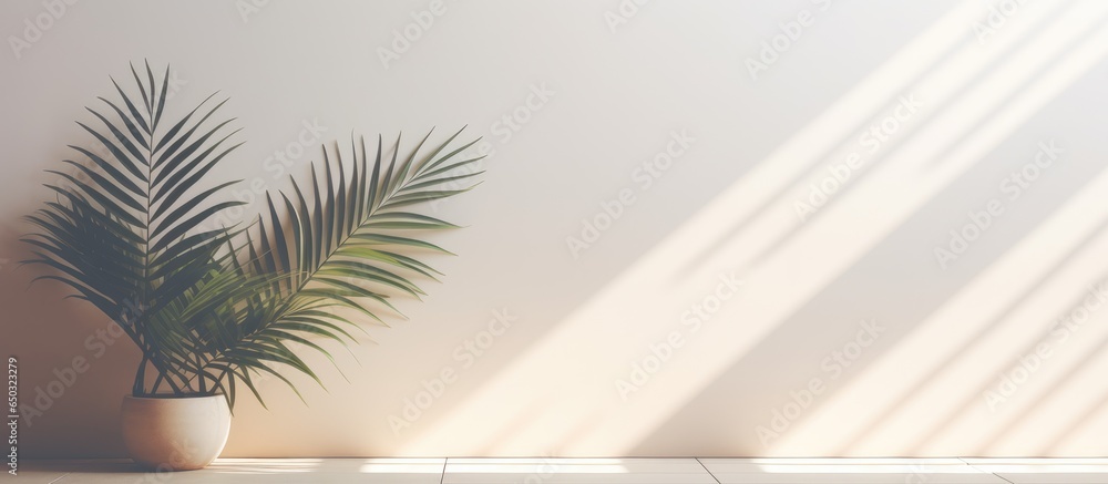 Poster blurred sunlight shadow texture background with empty product mockup on window silhouette
