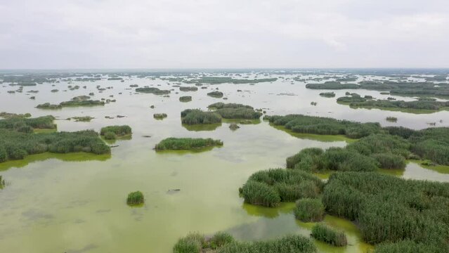 Aerial view of the greenery and beautiful nature on the waters of Lake Eber, one of the natural beauties of Afyonkarahisar, with a drone.