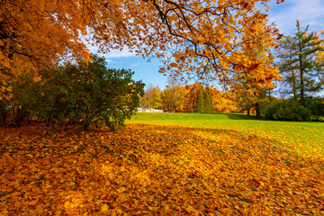 Catherine park in autumn, Pushkin, Saint Petersburg, Russia