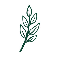 Fototapeta premium Plant Illustration