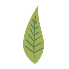 Leaf Illustration