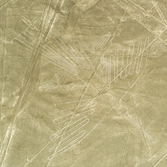 Nazca Lines geoglyph of the condor in square format, Nazca Desert, Peru.