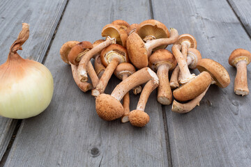 Fresh mushrooms and one onion on the background of a wooden table. Raw mushrooms for publication, poster, screensaver, wallpaper, postcard, banner, cover, post. High quality photo