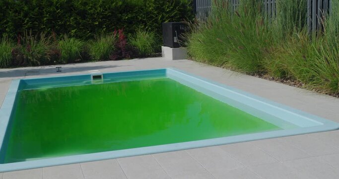 Green water in a home pool in the backyard of a house. Bloomed due to incorrect dosage of chemicals